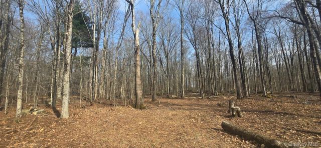 8 Starlight Drive, Monticello, NY 12701