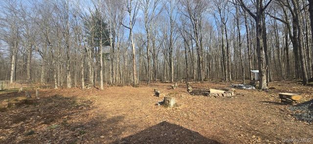 8 Starlight Drive, Monticello, NY 12701