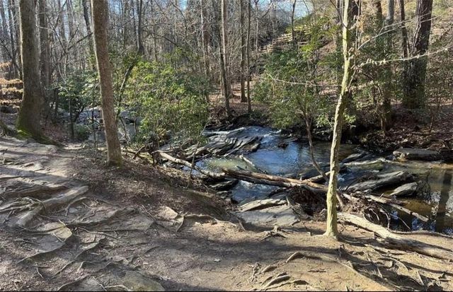 9885 Nature Mill Road, Johns Creek, GA 30022