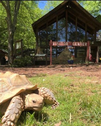 9885 Nature Mill Road, Johns Creek, GA 30022