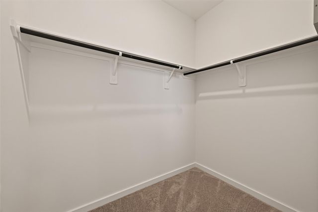 3427 Windmill Palm Drive, Manvel, TX 77578