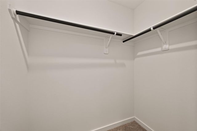 3427 Windmill Palm Drive, Manvel, TX 77578