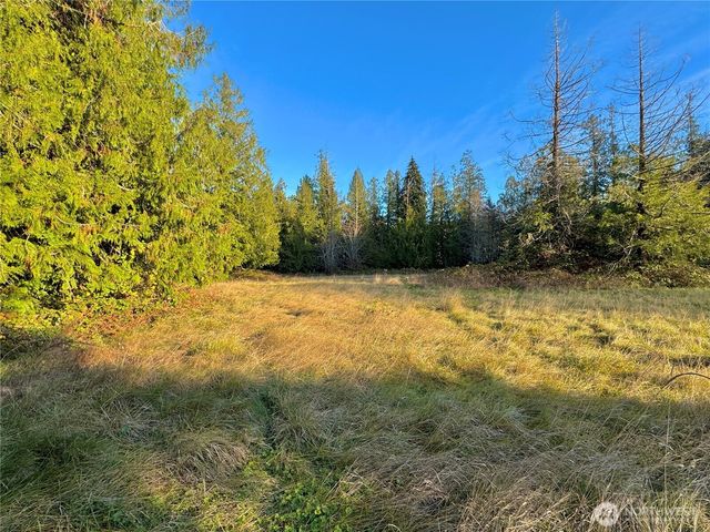 25 NE Roy Boad Road, Belfair, WA 98528