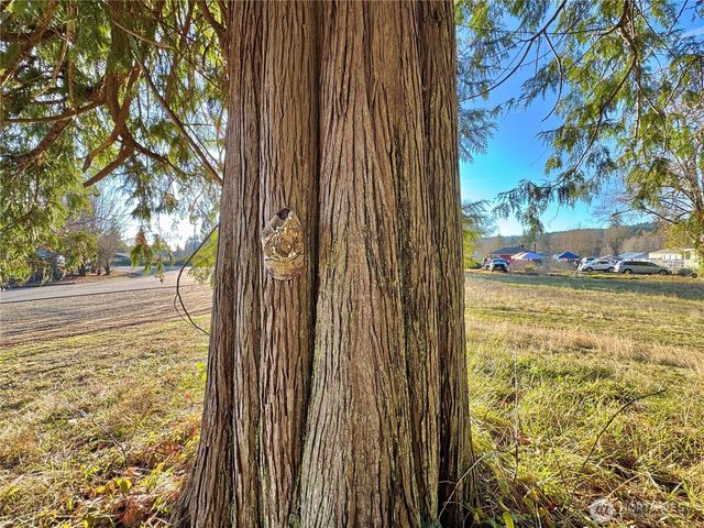 25 NE Roy Boad Road, Belfair, WA 98528