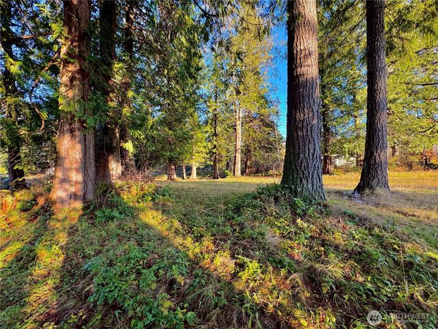 25 NE Roy Boad Road, Belfair, WA 98528