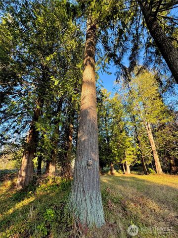 25 NE Roy Boad Road, Belfair, WA 98528