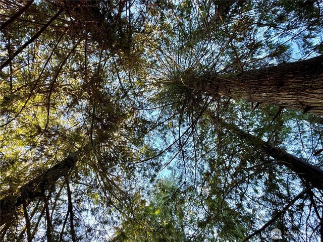 25 NE Roy Boad Road, Belfair, WA 98528