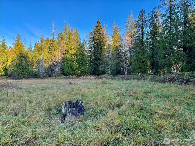 25 NE Roy Boad Road, Belfair, WA 98528