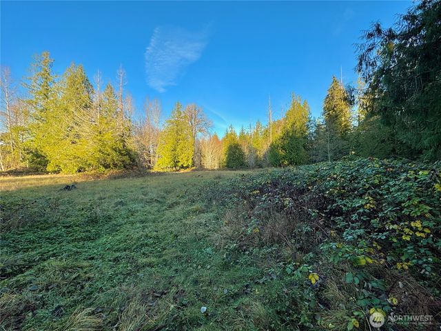25 NE Roy Boad Road, Belfair, WA 98528