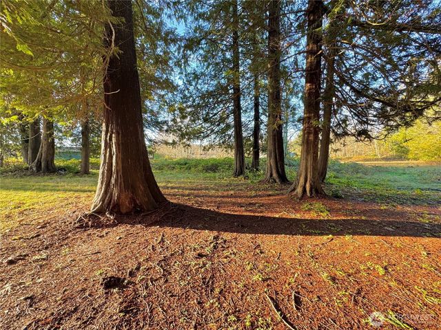 25 NE Roy Boad Road, Belfair, WA 98528