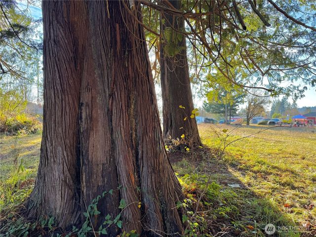 25 NE Roy Boad Road, Belfair, WA 98528