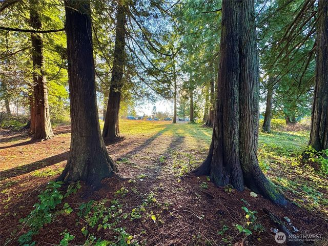 25 NE Roy Boad Road, Belfair, WA 98528