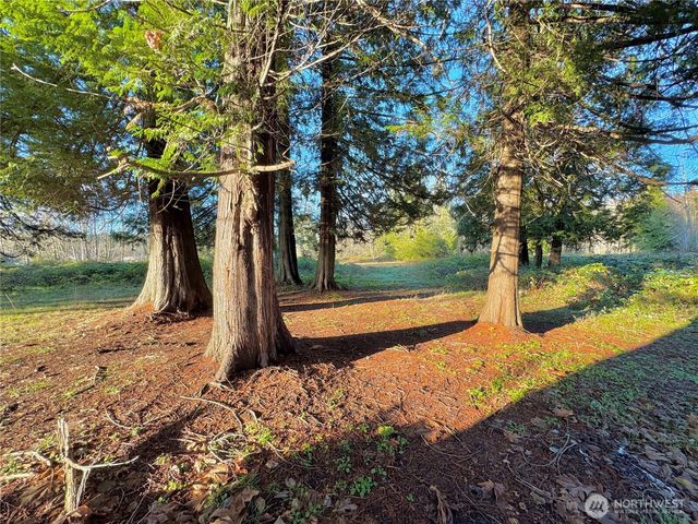 25 NE Roy Boad Road, Belfair, WA 98528