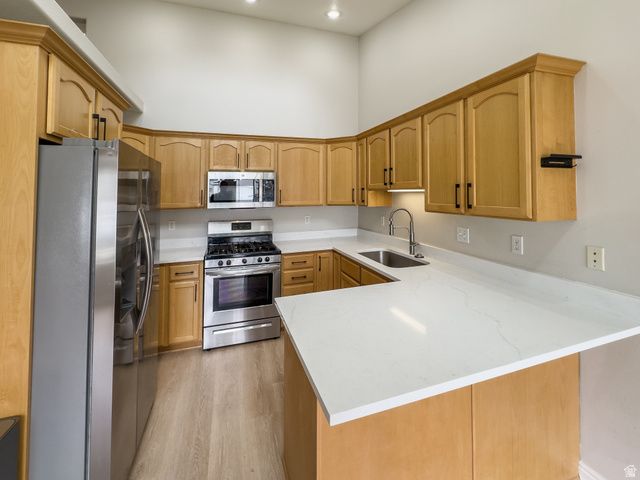2508 S GOODNIGHT DR., Springville, UT 84663