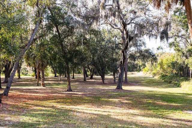 27201 WOODHOLLOW ROAD, Mount Dora, FL 32757