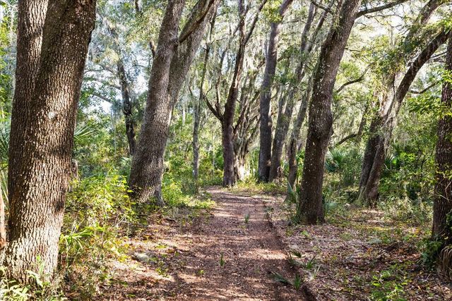 27201 WOODHOLLOW ROAD, Mount Dora, FL 32757