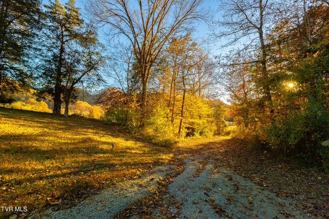 0 Flower Gap Road, Blackwater, VA 24221