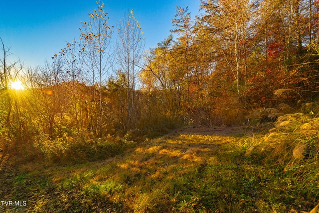 0 Flower Gap Road, Blackwater, VA 24221