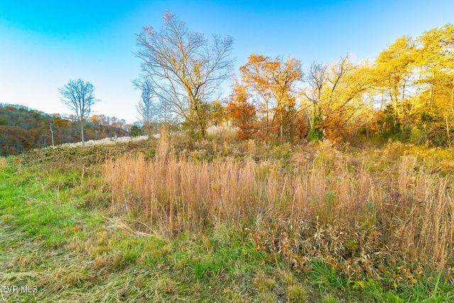 0 Flower Gap Road, Blackwater, VA 24221