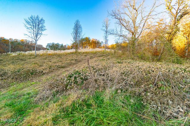 0 Flower Gap Road, Blackwater, VA 24221