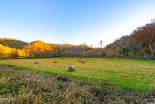 0 Flower Gap Road, Blackwater, VA 24221