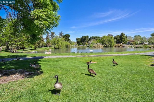 3712 Los Flores Ave, Concord, CA 94519
