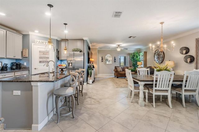 10320 ECHO DOCK LOOP, San Antonio, FL 33576