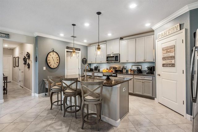 10320 ECHO DOCK LOOP, San Antonio, FL 33576