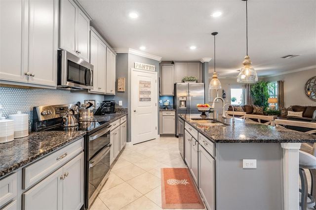 10320 ECHO DOCK LOOP, San Antonio, FL 33576