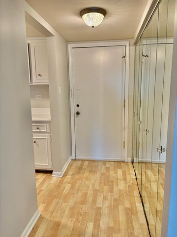 505 Redondo Drive 407, Downers Grove, IL 60516