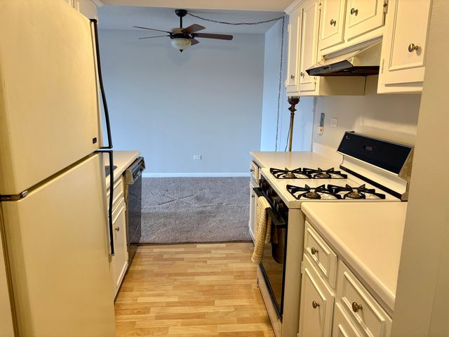 505 Redondo Drive 407, Downers Grove, IL 60516