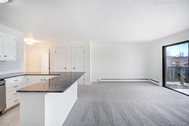 893 Straight Creek Drive 203, Dillon, CO 80435