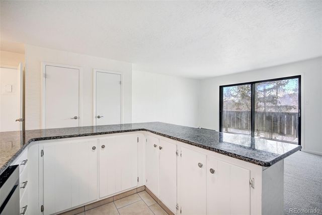 893 Straight Creek Drive 203, Dillon, CO 80435