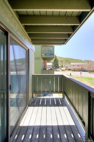 893 Straight Creek Drive 203, Dillon, CO 80435