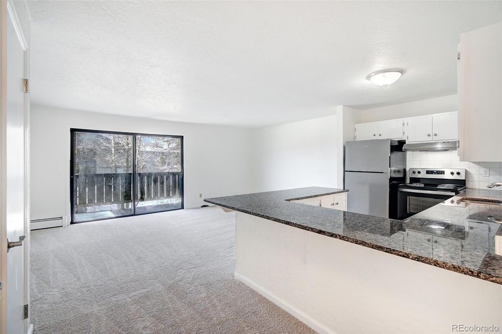 893 Straight Creek Drive 203, Dillon, CO 80435
