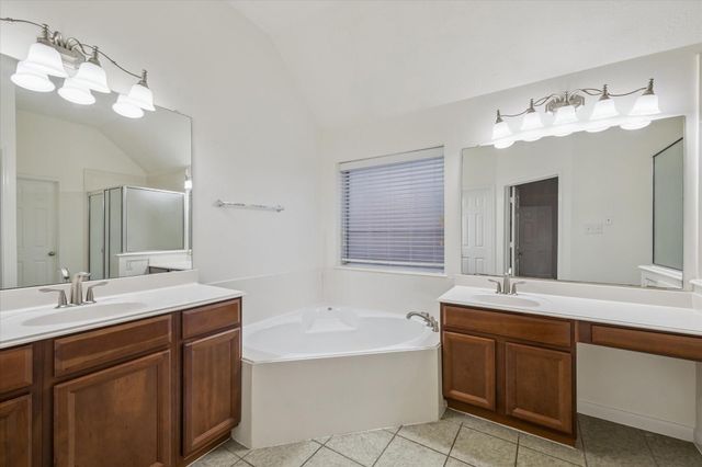 22302 Bridgestone Palm Court, Spring, TX 77388