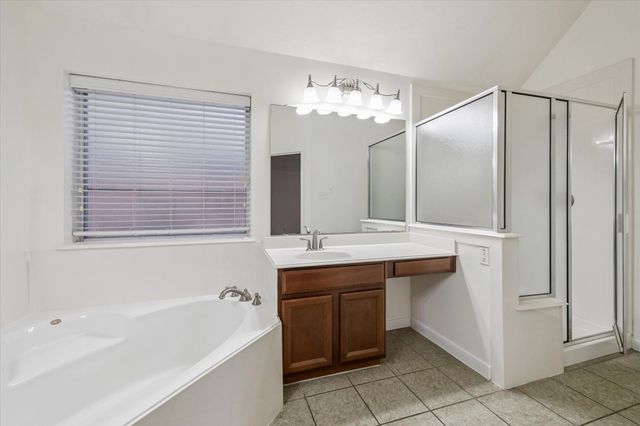 22302 Bridgestone Palm Court, Spring, TX 77388