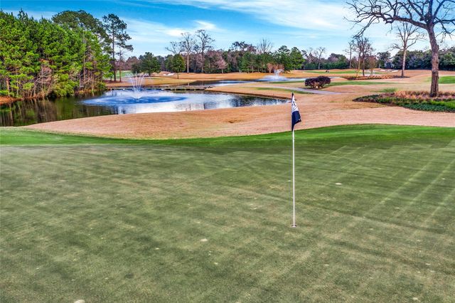 407 N Copa Palm Loop, Montgomery, TX 77316