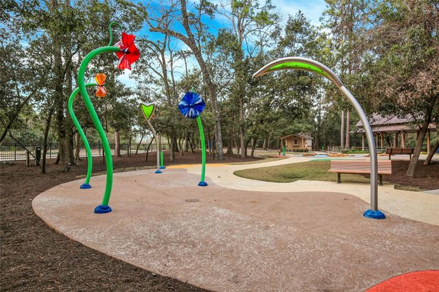 407 N Copa Palm Loop, Montgomery, TX 77316