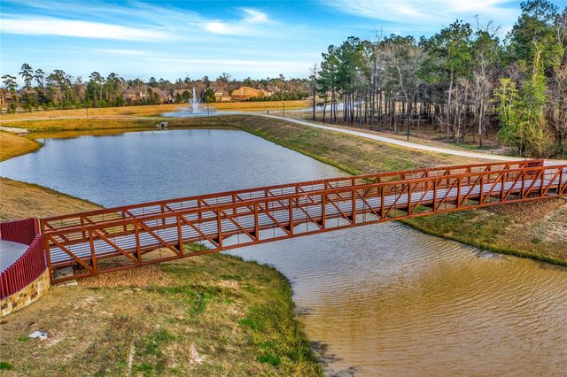 407 N Copa Palm Loop, Montgomery, TX 77316