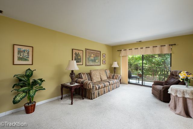 1702 Mill Street 207, Des Plaines, IL 60016