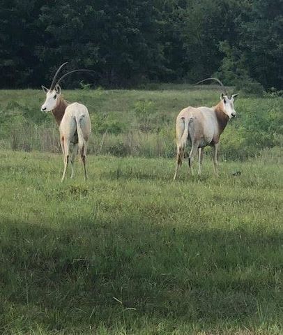 2313 E Us Highway 79, Rockdale, TX 76567