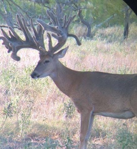 2313 E Us Highway 79, Rockdale, TX 76567