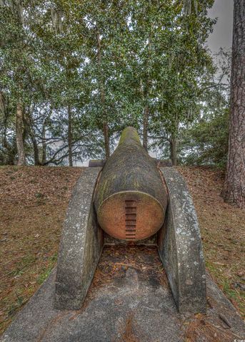 43 Pheasant Loop Unit 302, Georgetown, SC 29440