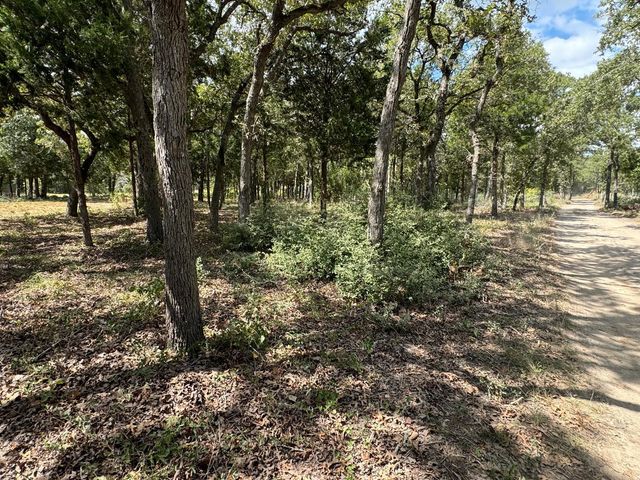 [Lot 1] 000 Jordan LN, Elgin, TX 78621