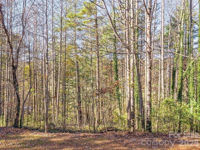 LOTS 14 & 15 Mountain Lake Drive, Hendersonville, NC 28739