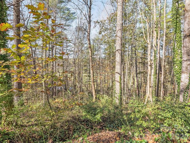 LOTS 14 & 15 Mountain Lake Drive, Hendersonville, NC 28739