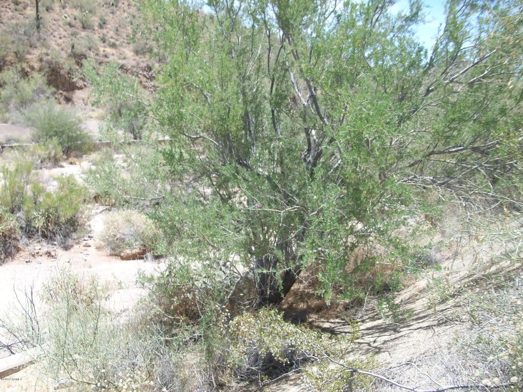 Image 16 of property listing at 23437 N CHURCH Road 10, Scottsdale, AZ 85255