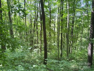 00 Slippery Rock Road 306 & 307, Waynesville, NC 28785