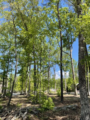 318 Waters Edge Way, Tracy City, TN 37387